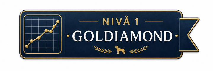 Nivå 1 – Goldiamond