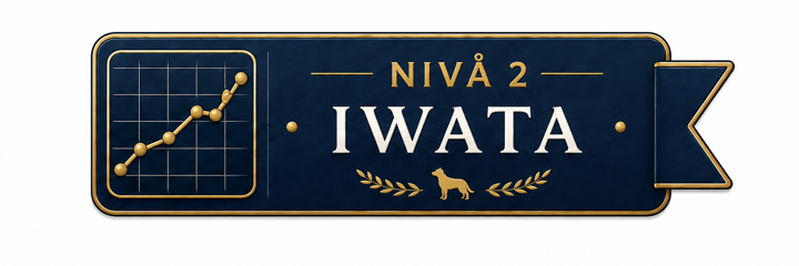 Nivå 2 – Iwata