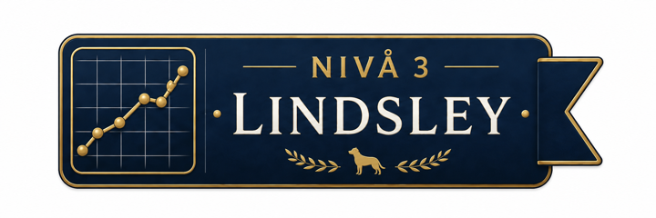 Nivå 3 – Lindsley