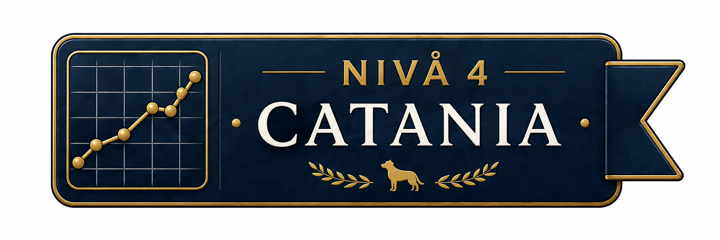 Nivå 4 – Catania