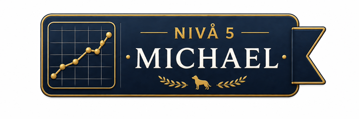 Nivå 5 – Michael