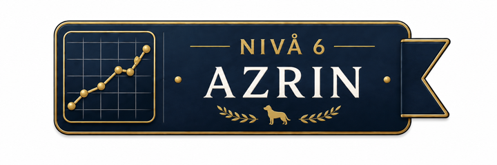 Nivå 6 – Azrin