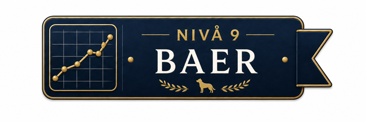 Nivå 9 – Baer