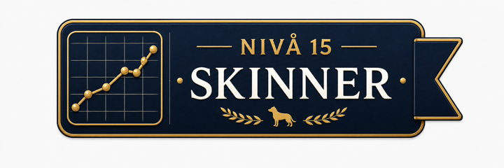 Nivå 15 – Skinner